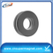 80-22*20mm Neodymium Ring Magnets/Neodymium Magnets