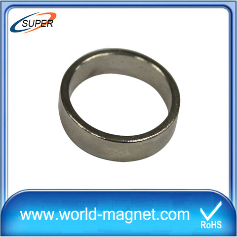 Ring Industry Rare Earth Neodymium Magnet