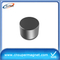 neodymium competive disc magnets wholesale