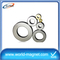 Customized China Neodymium Ring Magnet