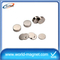 High Quality Customized Disc Neodymium Unipolar Magnet