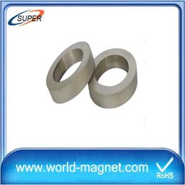 China Manufacturer Sintered SmCo Magnet