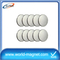 Promotional 50*20mm Neodymium Disc Magnet For Sale
