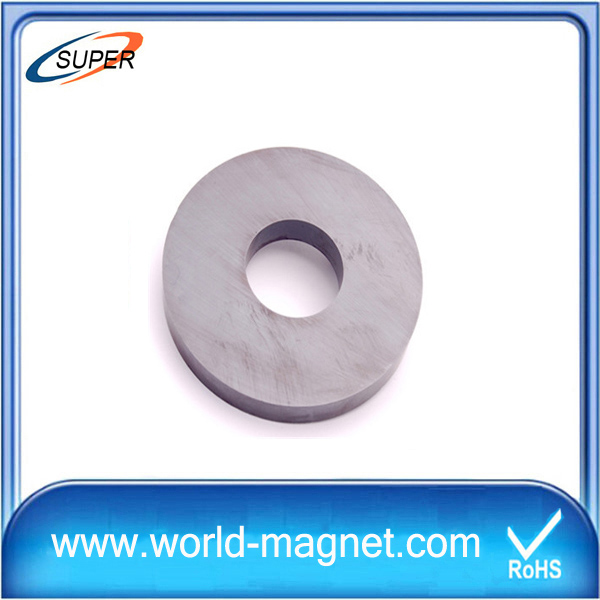 Small Customized China Ferrite Magnet