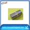Promotional D10*10mm Disc magnets SmCo 