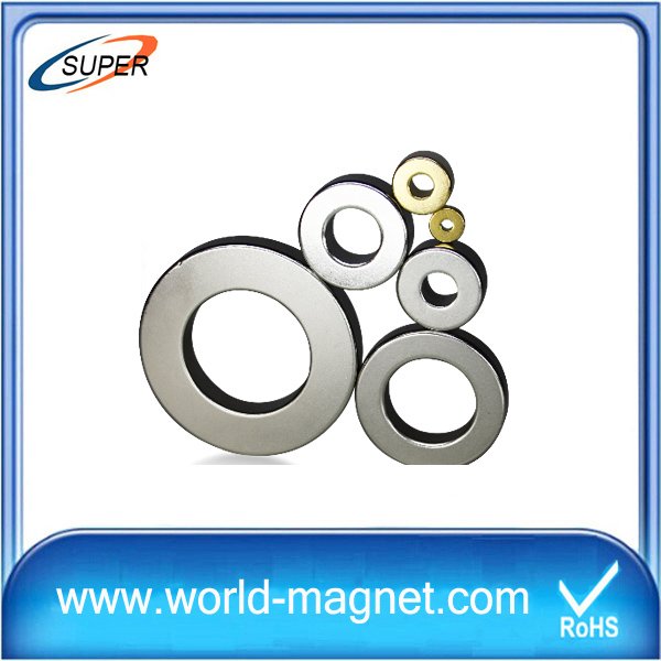 Ring Industry Rare Earth Neodymium Magnet