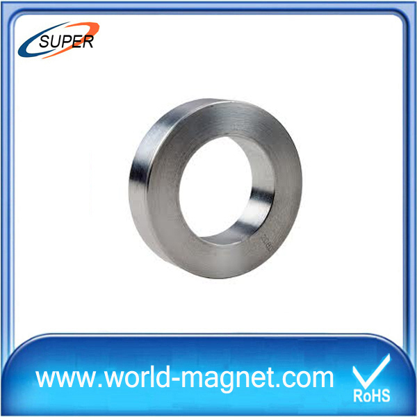 Industrial customized neodymium multipole ring magnet