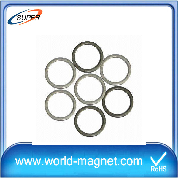 Ring Neodymium Magnet in China